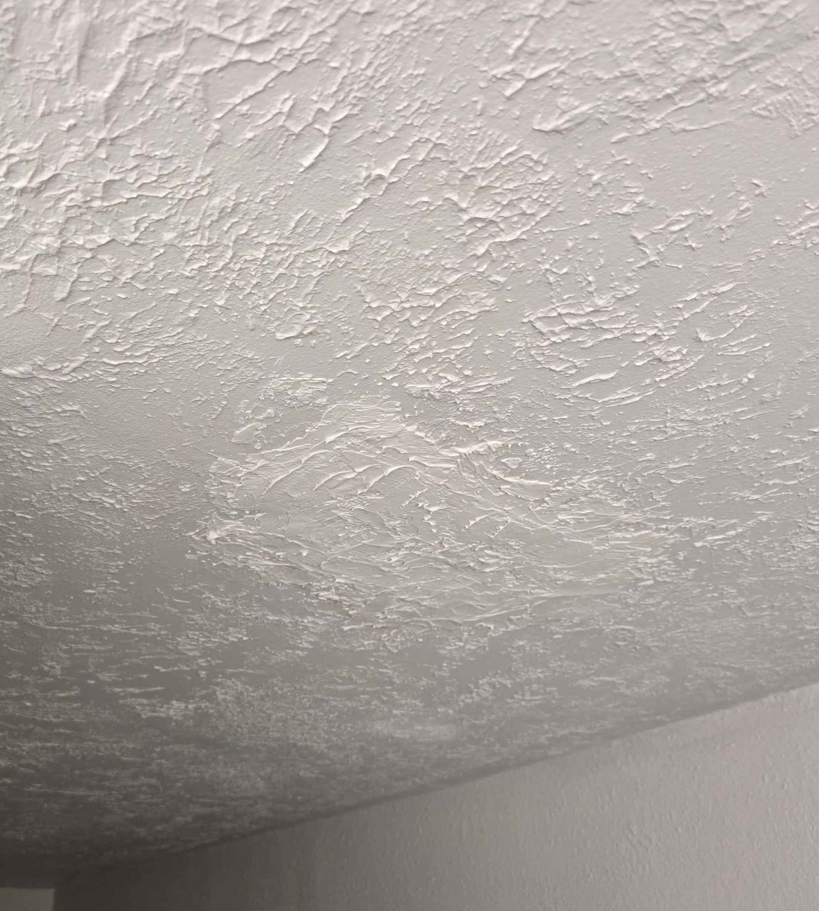 ceiling repair