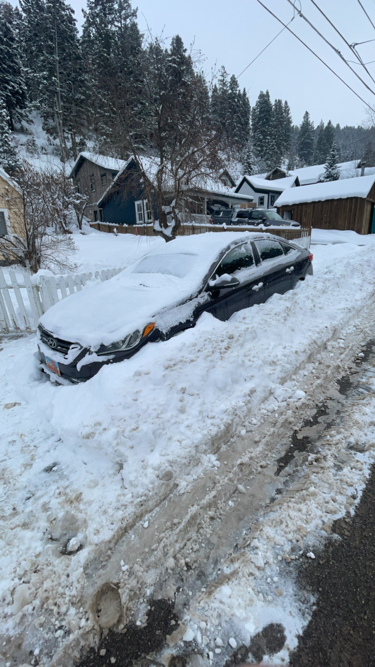 Snow removal - Roof
